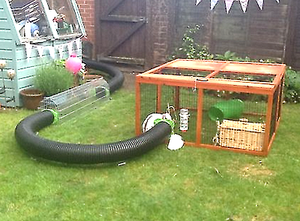 plastic guinea pig hutch