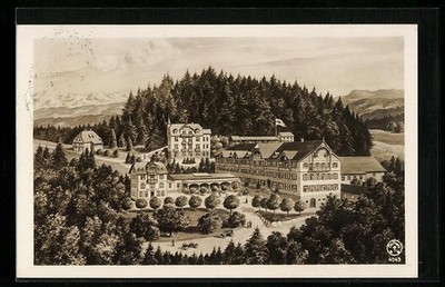Postcard Neustadt/Schwarzwald, Hotel and Kurhaus Friedenweiler