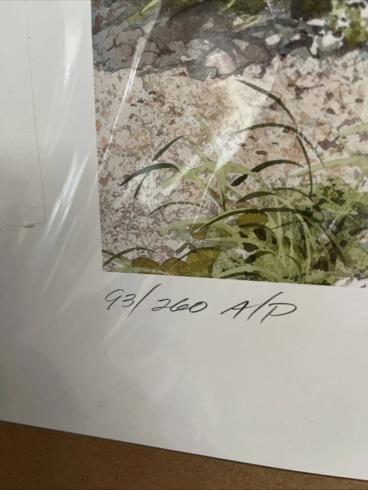 Charles Peterson Garden Party prueba de artista 93/260 Foto 2 de 4