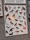 Vintage 1970 1980 Bird Stamps Book Sticker — photo 3