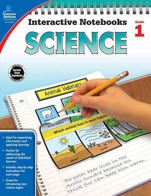Holly Rafidi Science, Grade 1 (Taschenbuch) Interactive Notebooks