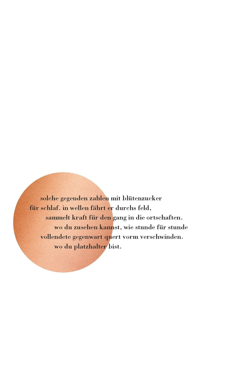 Thumbnail - Kathrin Schmidt | Sommerschaums Ernte | Buch | Deutsch (2020) |