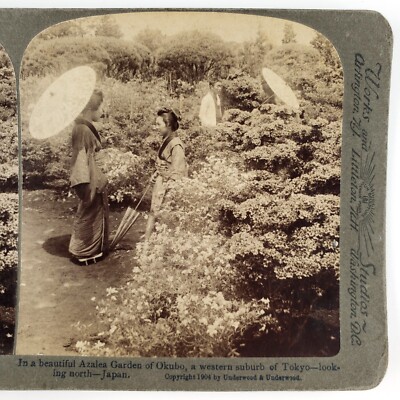 Okubo Azalea Garden Girls Stereoview c1904 Underwood Shinjuku Tokyo Japan G1015