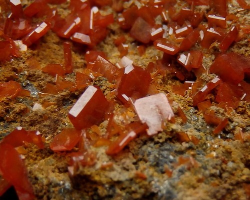 WULFENITE red crystals & big specimen !!! -- CHINA - Kuruktag Mountains /pk882 - Picture 8 of 14