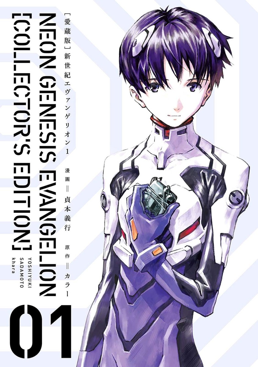 Neon Genesis Evangelion Aizouban collector's edition (Language