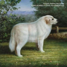 VMAK<KOMBZ<<<DUGLAS<<6NDR7<<< by Douglas Andrew McCombs [CD]