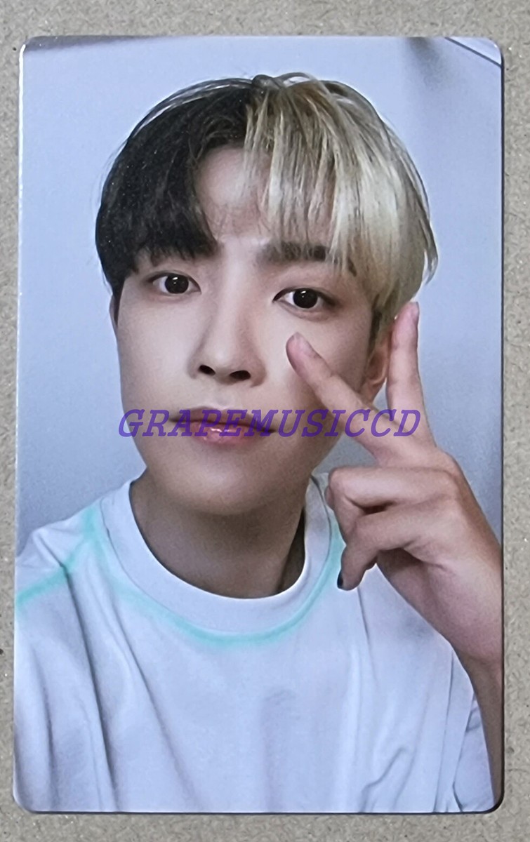 ATEEZ　mernel ATEEZ X MERNEL OFFICIAL MD GOODS PHOTOCARD PHOTO CARD PEACH