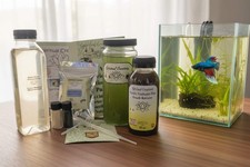 Spiritual Creations Moina Macrocopa Chlorella Vulgaris Home Culturing Kit Comple