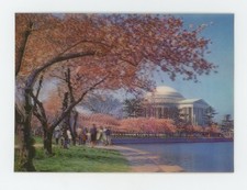 Jefferson Memorial Washington DC 1960's Asahi Lenticular 3-D Postcard Great 3-D