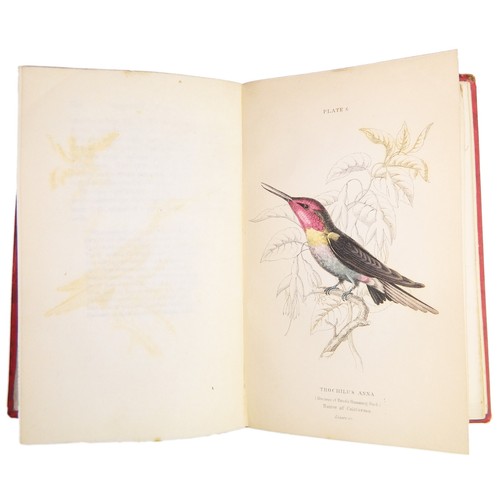 1843 Jardine HUMMINGBIRDS VOLUME 1! 31 HAND-COLORED ENGRAVINGS (Ornithology XIV) - Picture 14 of 24