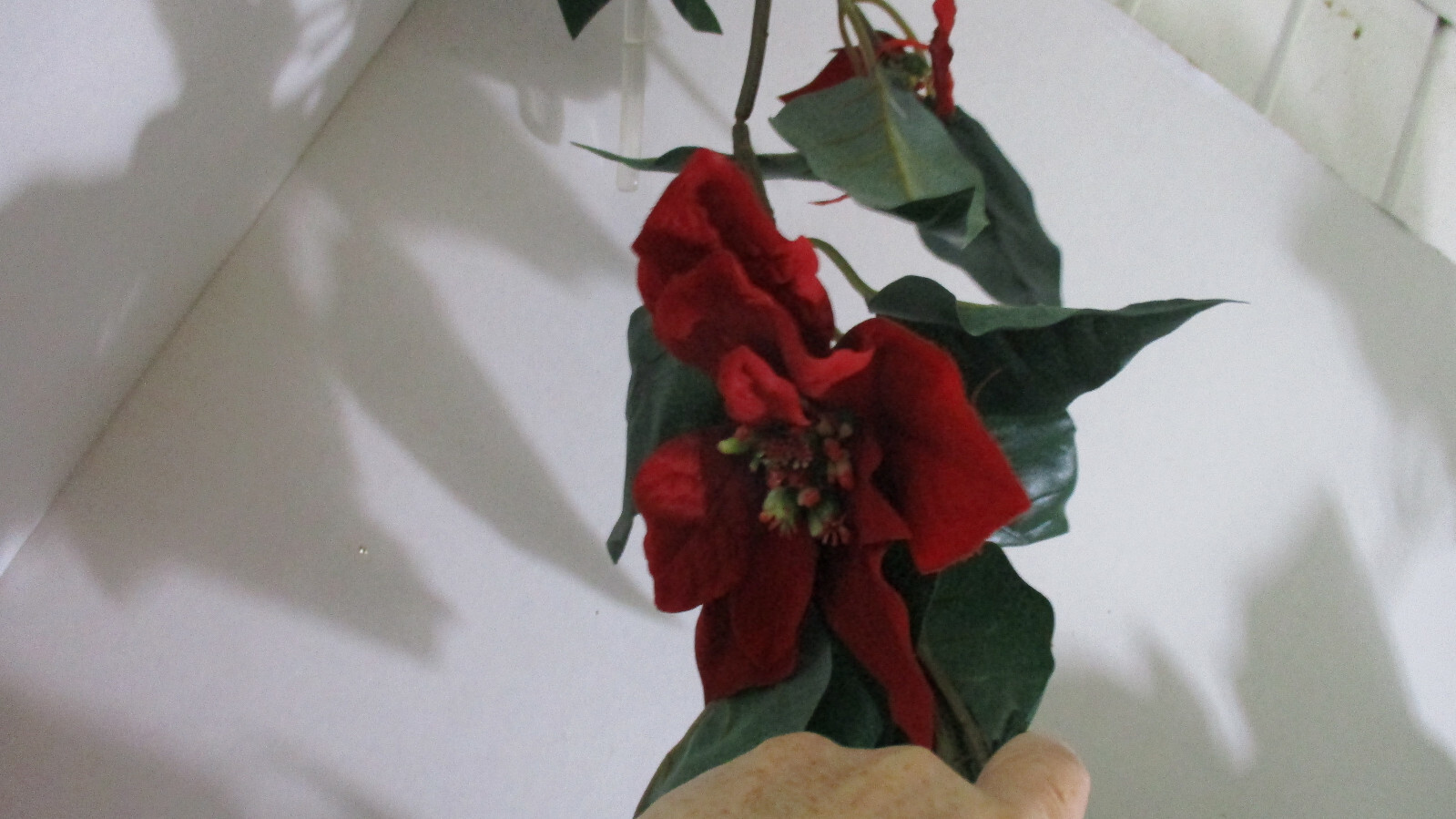 Bild 5 von 5