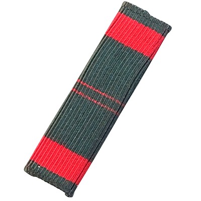 Action1 Ribbon Republic of Vietnam Civil Action Unit Citation Ribbon, 1-3/8