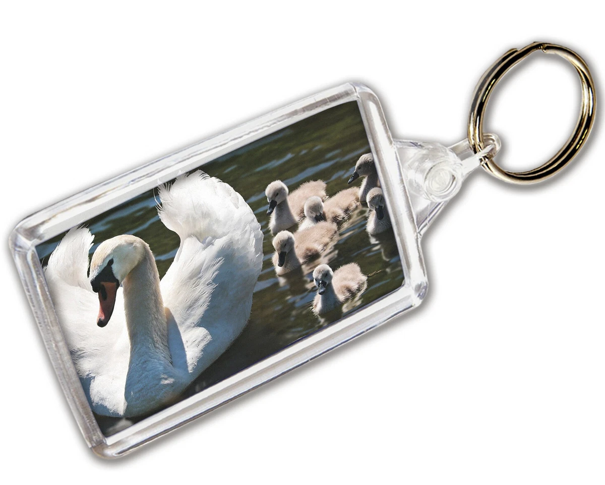 Swan keyring sale