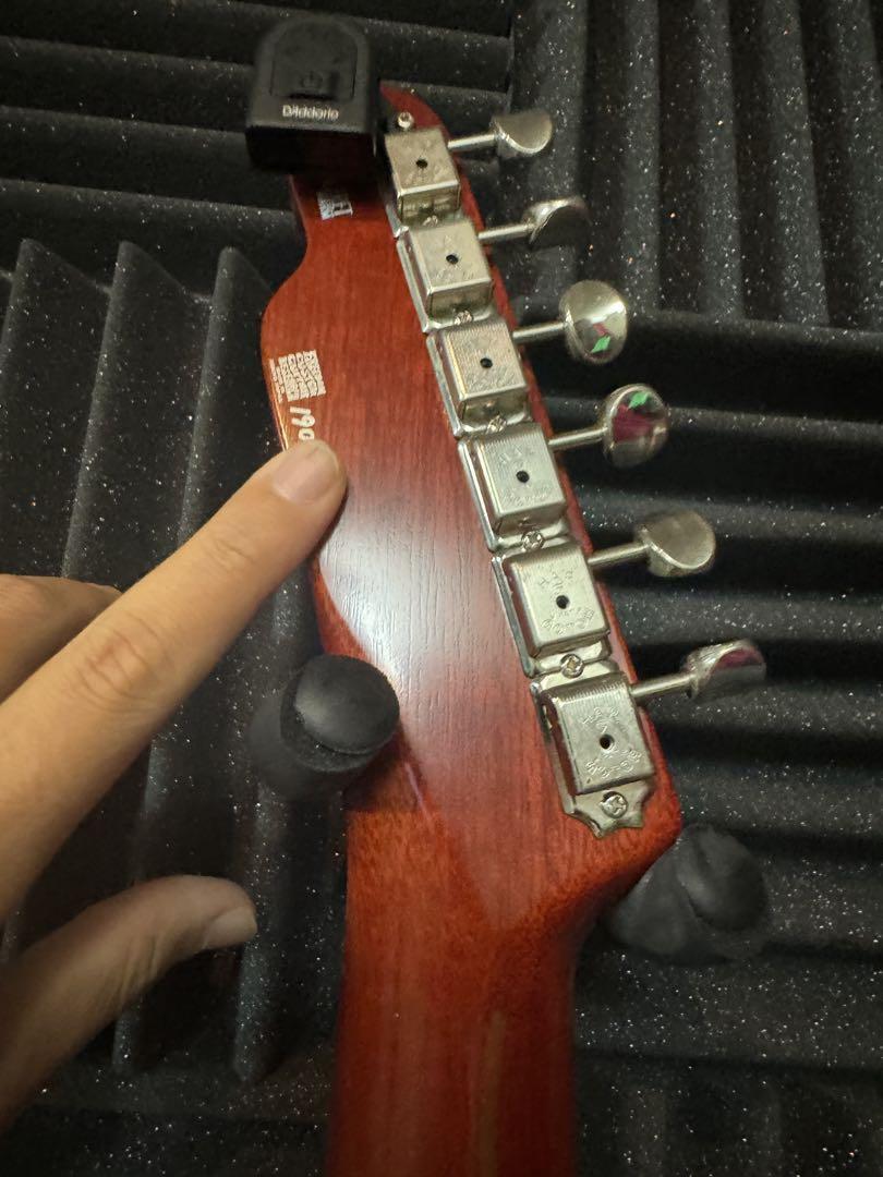 ギター Freedom C.G.R. Black Pepper Brush eight / 【SOLD】FREEDOM CUSTOM GUITAR RESEARCH Black