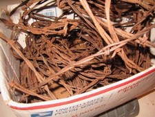 Rusty Barbed Wire 5 LB Rustic Remnants and Pieces 5 POUNDS MINIMUM