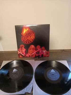 THE OUTLAWS-(DOUBLE LP)-BRING IT BACK ALIVE-LIVE!- GREEN GRASS & HIGH TIDES-1977