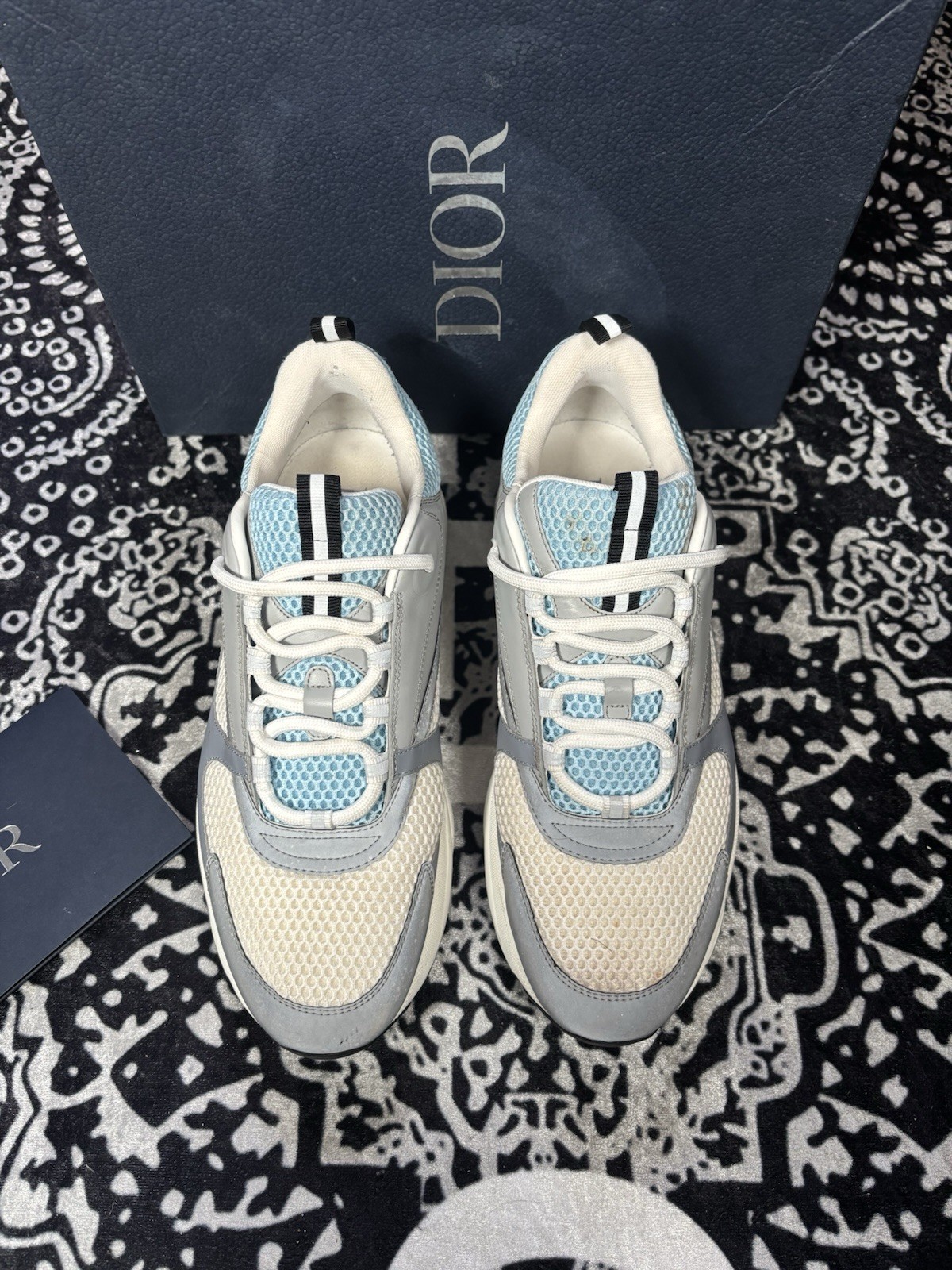 dior b22 Blue/White