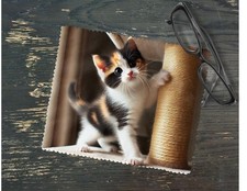 Microfiber Lens Cloth Calico Kitten Soft Scratch Free Camera Glasses Wipe