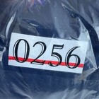 Bild 10 von 11