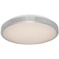 Led-Deckenleuchte Deckenlampe Wohnzimmerleuchte Stahlfarben Weiß Opal Globo