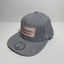 Tennessee Volunteers Zephyr M15Z Fitted Hat NCAA Light Gray Medium