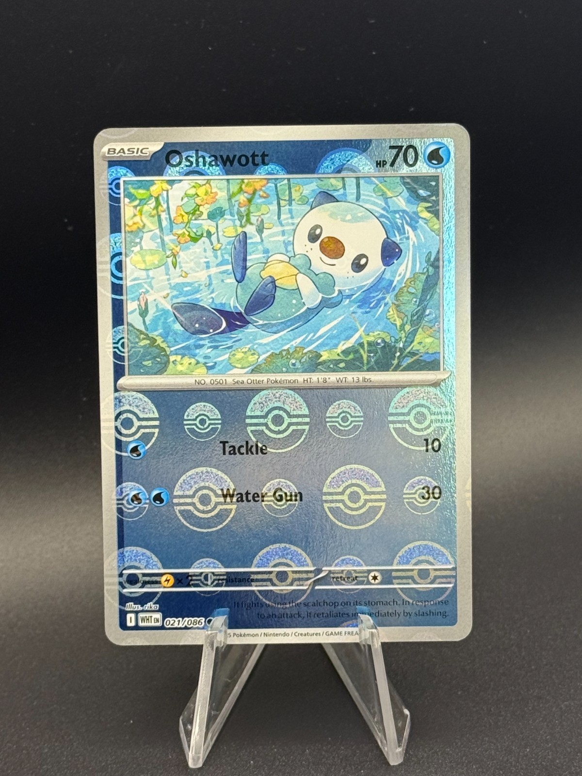 Pokemon OSHAWOTT wht 021/086 - White Flare - Poke Ball Pattern - MINT english