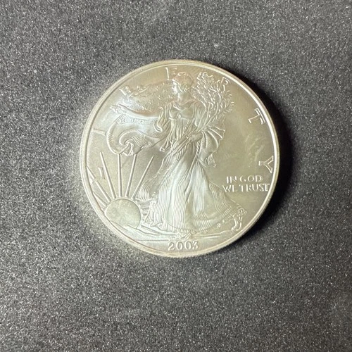 2003 U.S. American Eagle Walking Liberty 1oz Fine Silver Dollar Coin