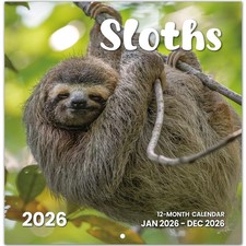 2026 Calendar, Sloths Monthly Wall Calendar 2026 Runs from Nov 2025 J-Sloths 