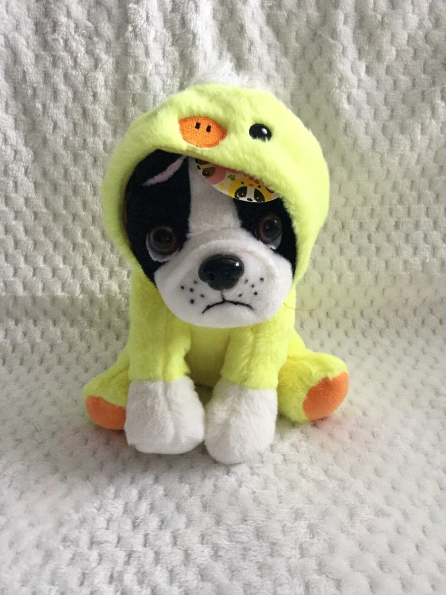 Dog in duck clearance costume