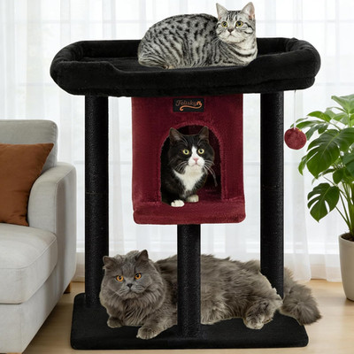 Cat Tree Tower Scratching Post for Indoor Large Cats, Small Cat Tree with Big Pe