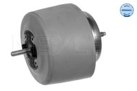 Meyle Motorlager 100 199 0083 FüR Audi A4 8E5 8E2 B7 8EC 8ED 8HE B6 Avant FSI
