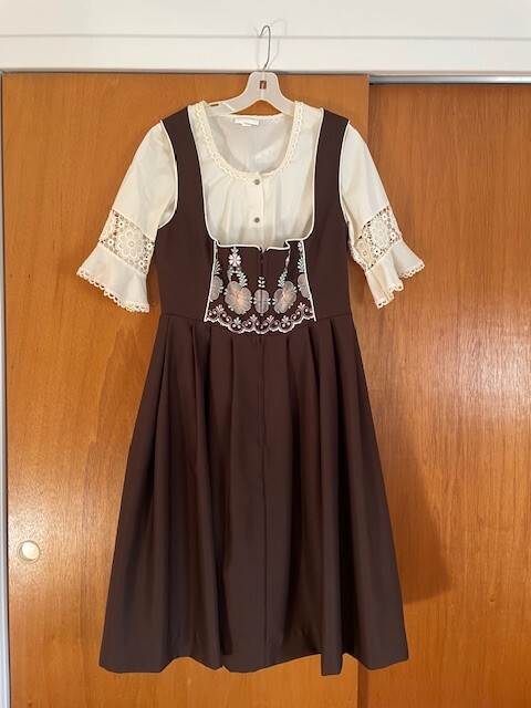 Brown Ernst Licht German Dirndl with Blouse and