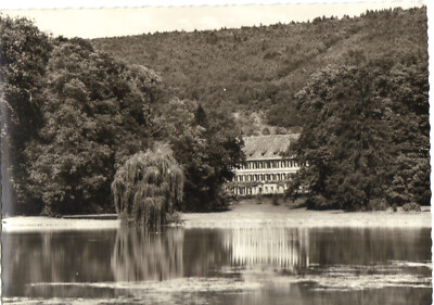 AK Amorbach/Odenwald ''Seegarten'' um 1960 ungelaufen. Echtes Foto