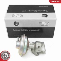 Esen SKV AGR Ventil 14SKV258 FüR VW Phaeton 3D1 3D2 3D3 3D4 3D6 3D7 3D8 3D9 7LA