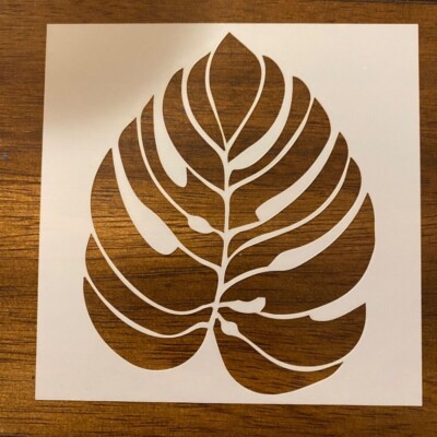philodendron sodiroi aff Philodendron Pinnatifidum 'Sodiroi' main image 0
