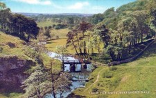 Postcard THE RIVER DOVE BERESFORD DALE Plant Cloud Sky Water