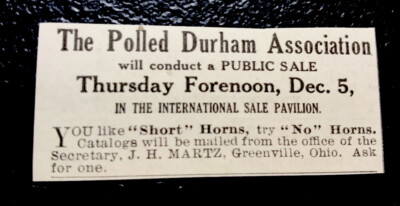 1918 Martz - Farm Cattle Public Sale Advertising - Cow - Greenville - Ohio