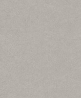 Rasch Vliestapete 520255 Tapete Wischtechnik Glitzer Taupe (5,11€/1Qm)