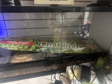 5 gallon front top open reptile tank