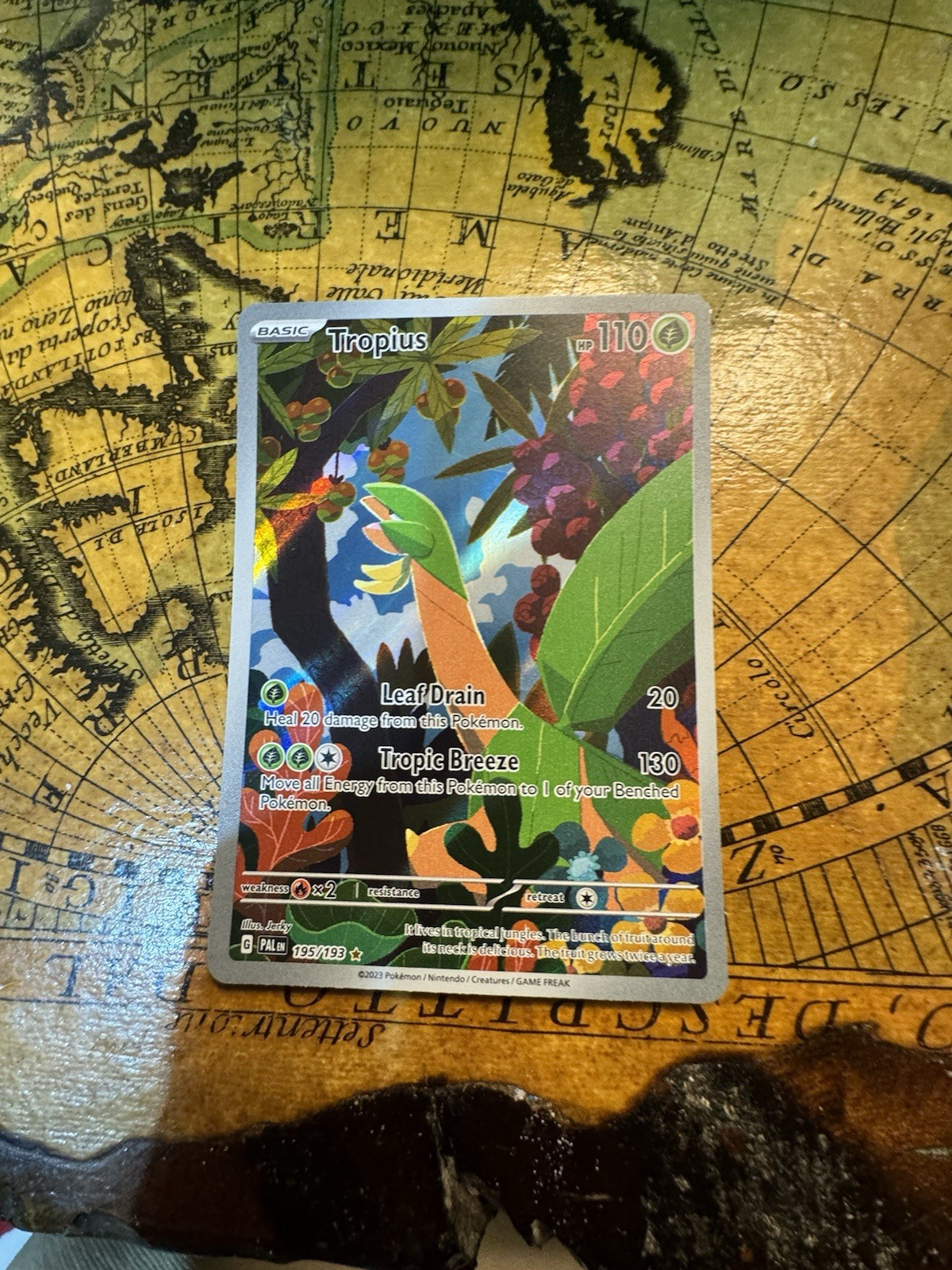 Tropius 195/193 Sv02: Paldea Evolved Holo