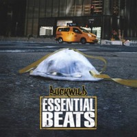 Buckwild - Essential Beats Vol. 2 - Vinyl Record Vl - G3Z