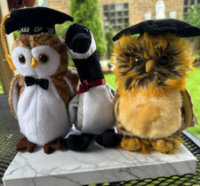 Lot of 3 Beanie Baby: Smartest, Wisest, and Loosy the Goose with Tag Errors