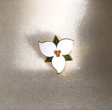 Vintage Trillium Blossom Enamel Pin Brooch White Flower Triangle 