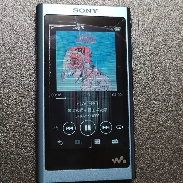 Sony NW-A55 blue Digital Audio Player Walkman Hi-Res junk item