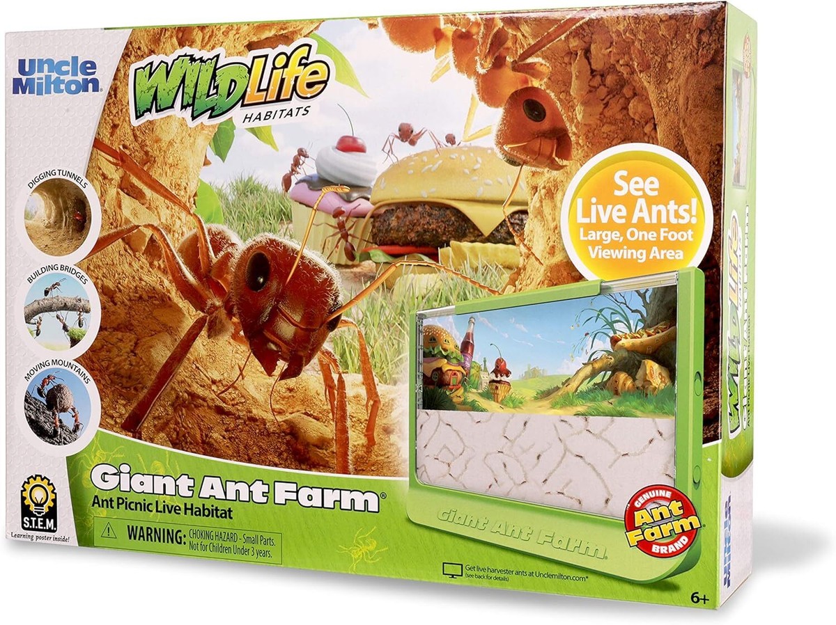 Giant Ant Farm Educational Stem Toy Clear Viewing Area