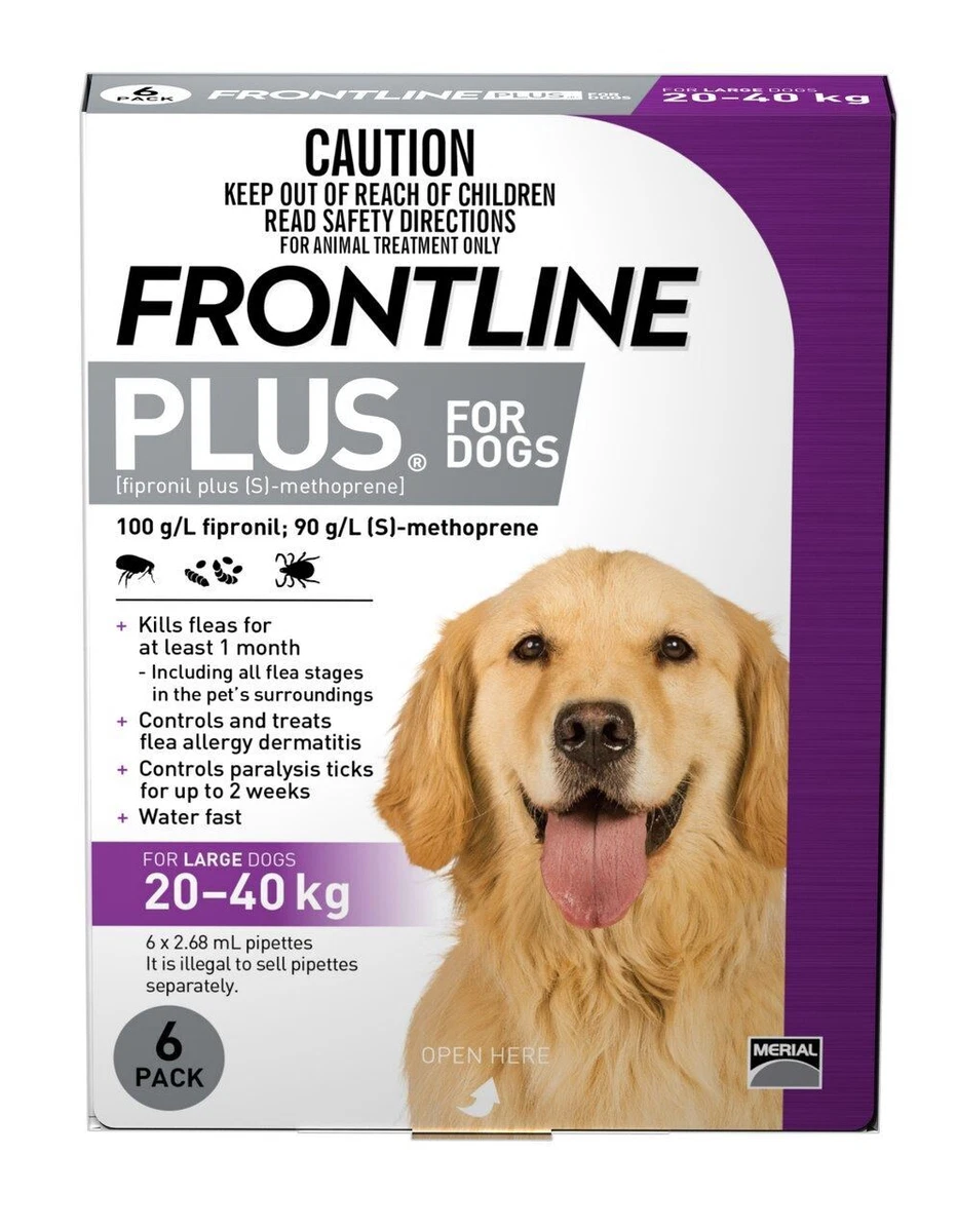 Frontline Plus for Large Dogs 20 40kg 6 Pack 9327073001712 eBay