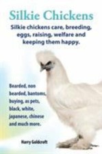 . Silkie Chickens. Silkie Chickens Care, Breeding, Eggs, Raising, Welfare and...