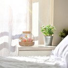 Foto 5 di 11