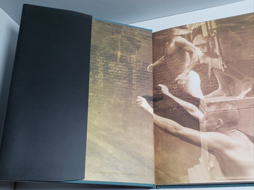Robert FLYNT / COMPOUNDFRACTURE 1st Edition 1996 HC/DJ - Bild 12 von 15