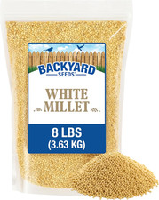 White Millet Bird Seed 8 Lb   USA Grown Premium Finch Food for Wild Birds, Finch